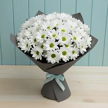 Букет цветов из:  Хризантемы #REPLACE_PRED# Подлужном